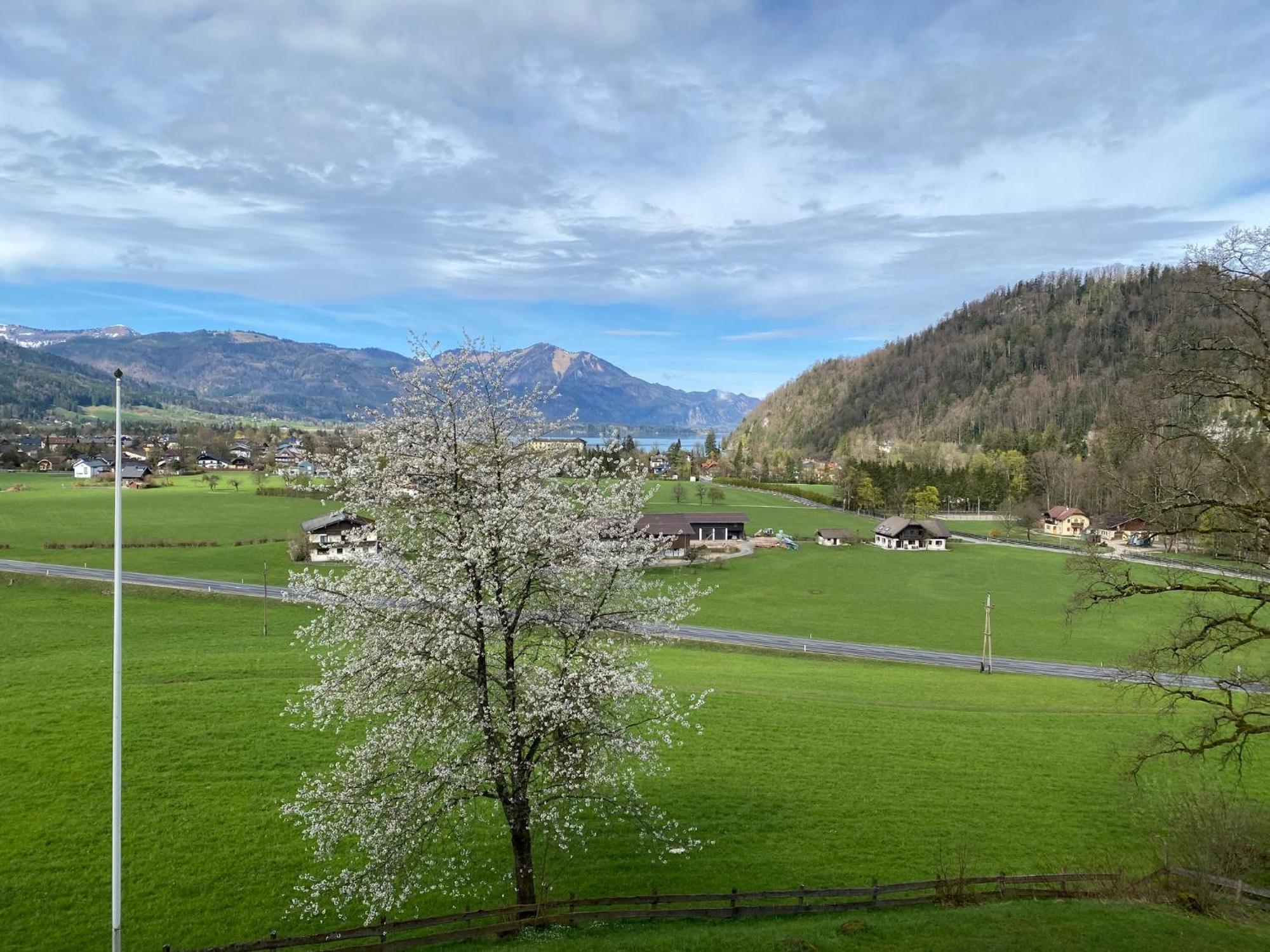 Seeblick 219 Strobl Eksteriør bilde